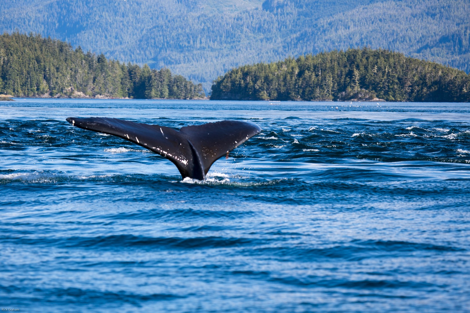 Seawolf Adventures - British Columbia - Canada - Doets Reizen