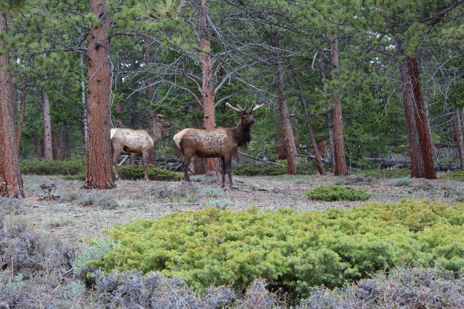 Rocky Mountain National Park - Colorado - Doets Reizen