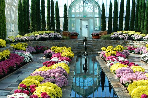 Como Park Zoo - Minneapolis - Minnesota - Amerika - Doets Reizen