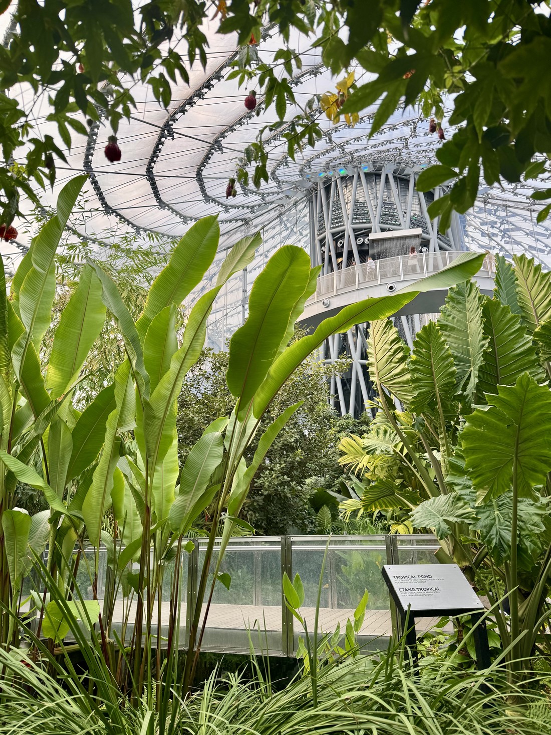 Winnipeg Park