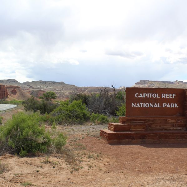 Capitol Reef National Park -  Utah - Doets Reizen