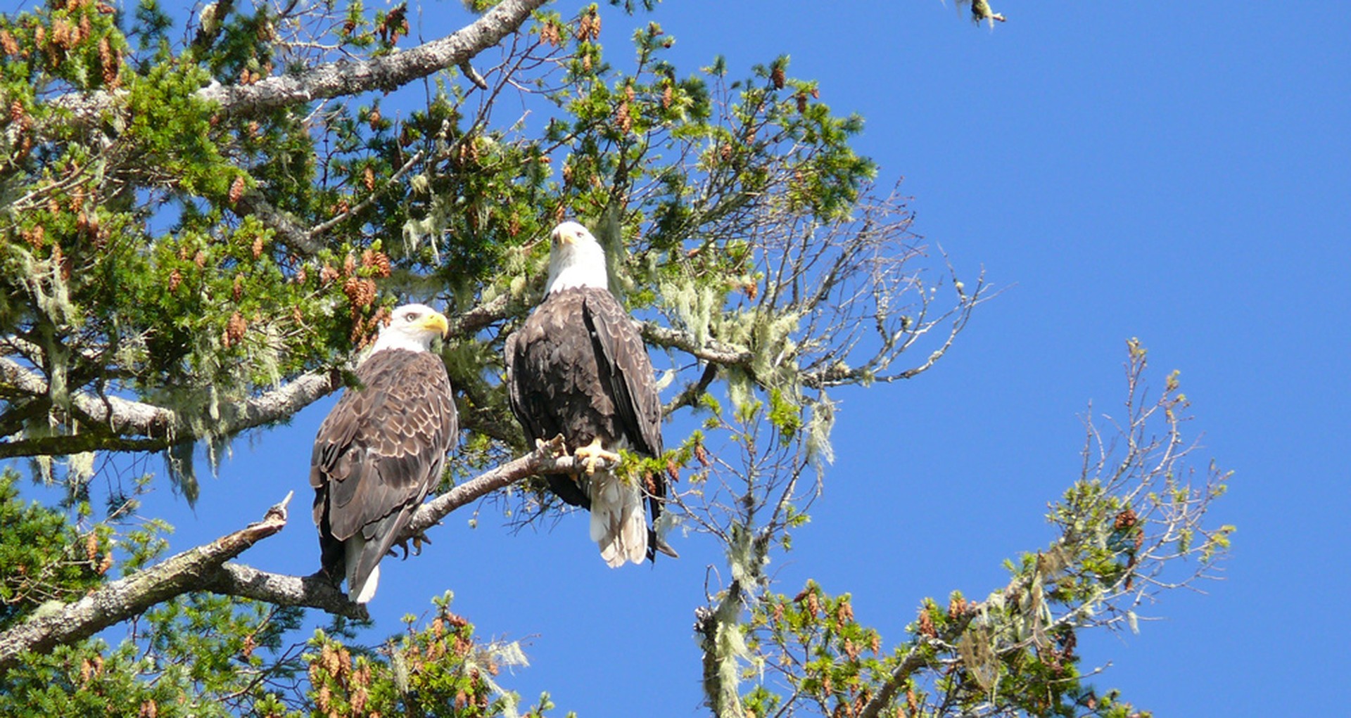 Farewell Harbour Lodge - British Columbia - Canada - Doets Reizen
