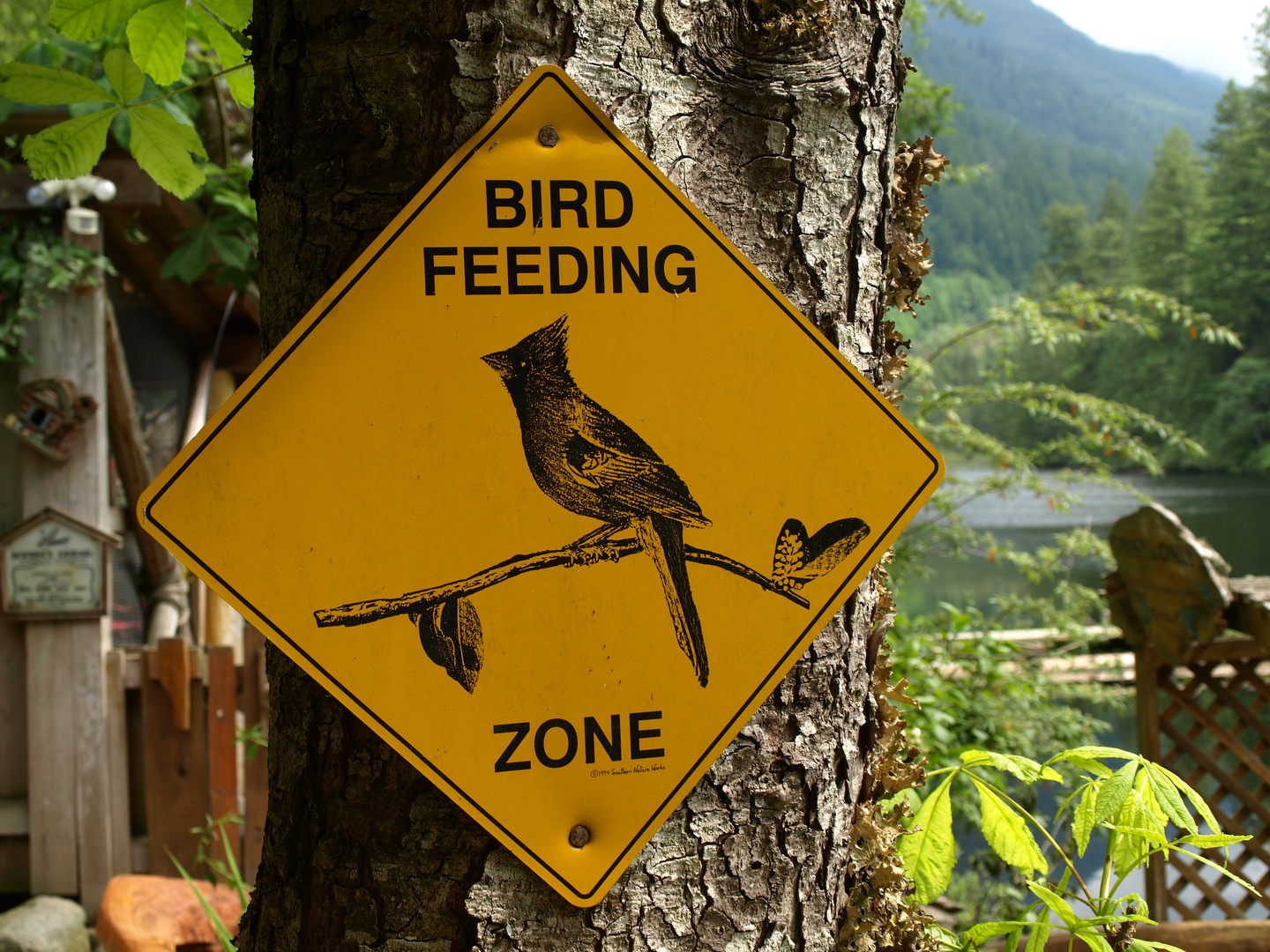 Sunshine Coast - British Columbia - Canada - Doets Reizen