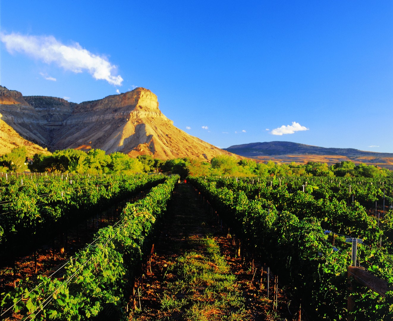 Grand Junction - Colorado - Doets Reizen