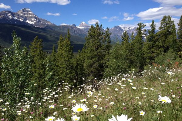 Icefields Parkway - Alberta - Canada - Doets Reizen