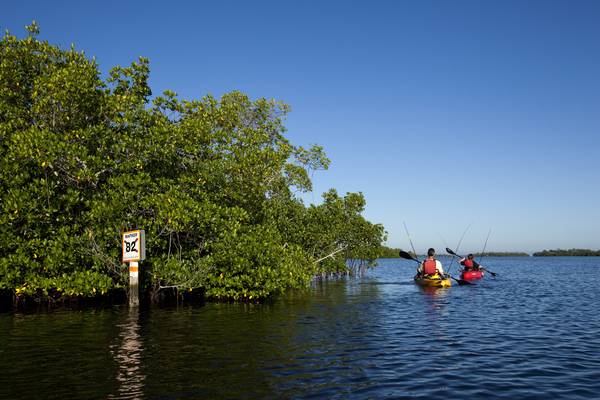 Sanibel Island - Captiva Island - Florida - Doets Reizen