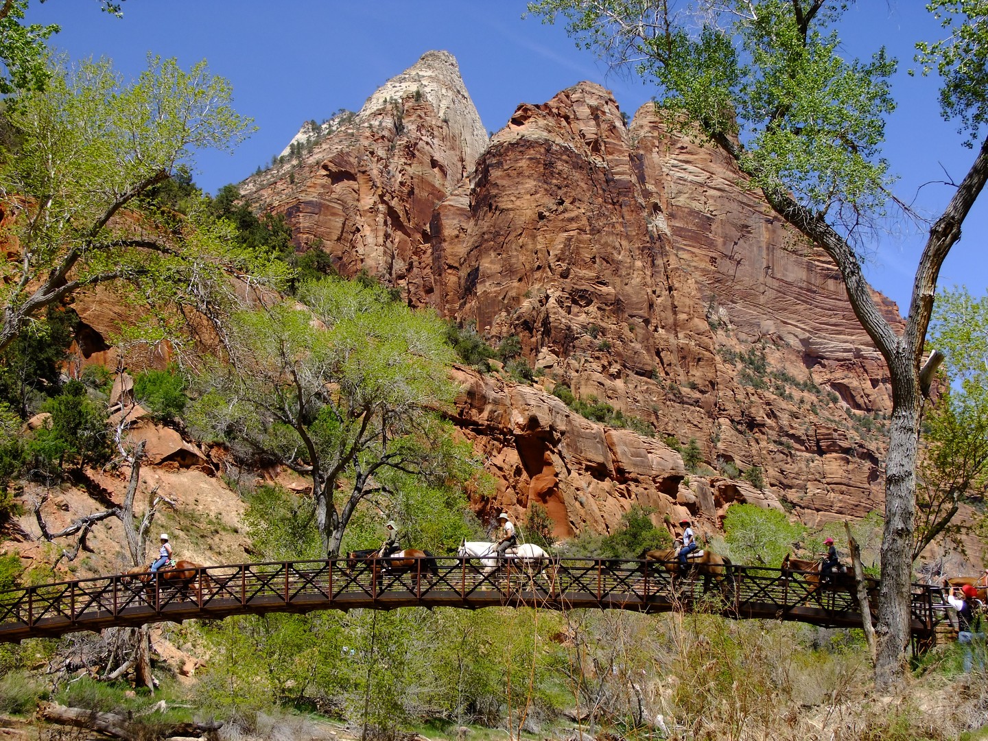Zion National Park - Utah - Doets Reizen