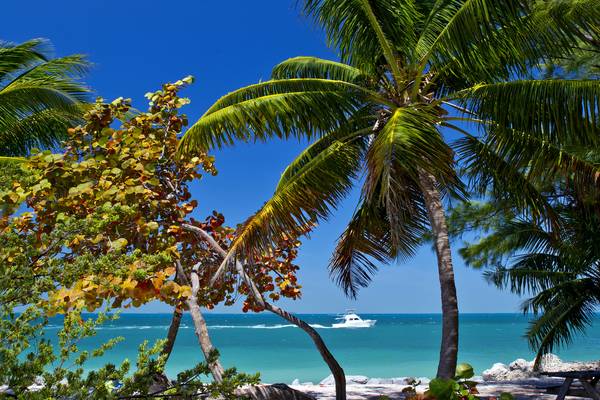 The Keys - Florida - Doets Reizen