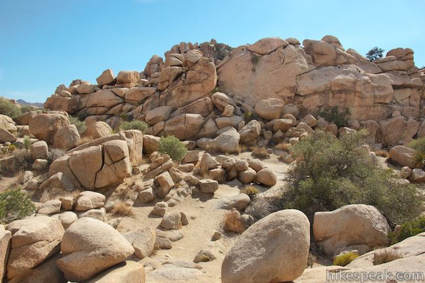 Joshua Tree National Park - California - Amerika - Doets Reizen