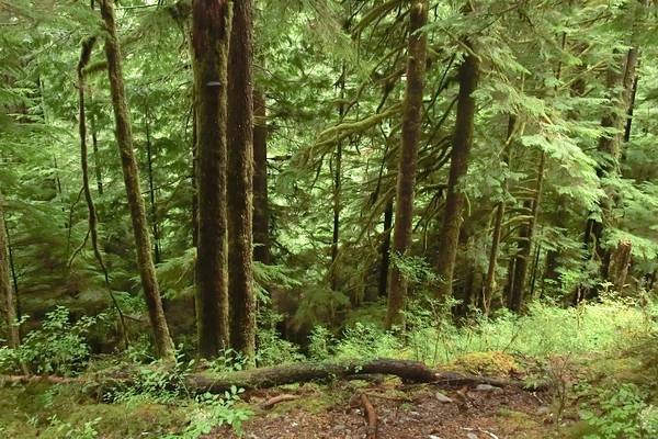 Olympic National Park - Washington State - Doets Reizen