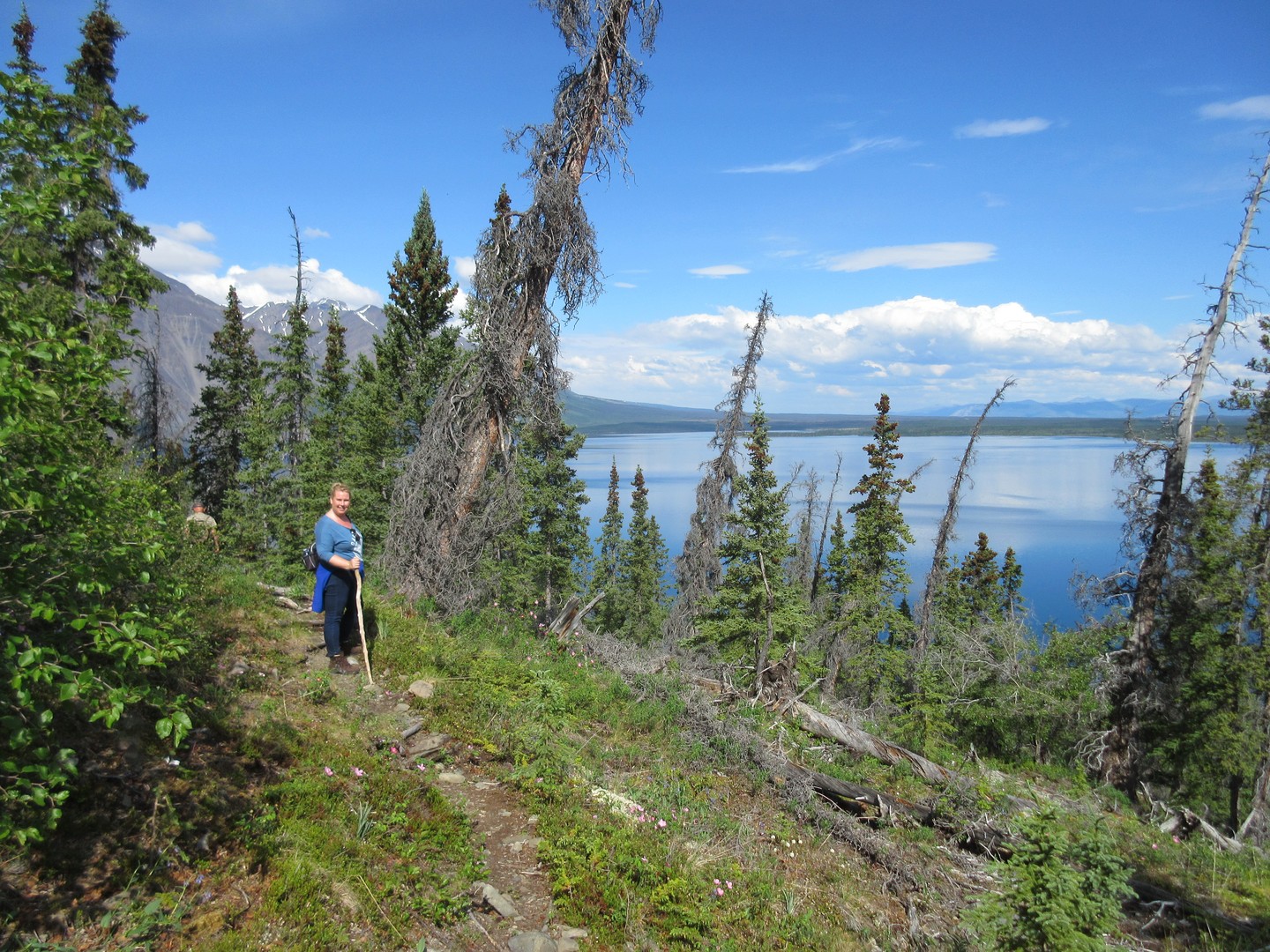 Kluane National Park - Yukona - Canada - Doets Reizen