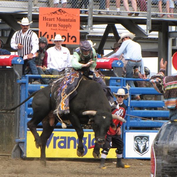 Cody - Wyoming - Doets Reizen