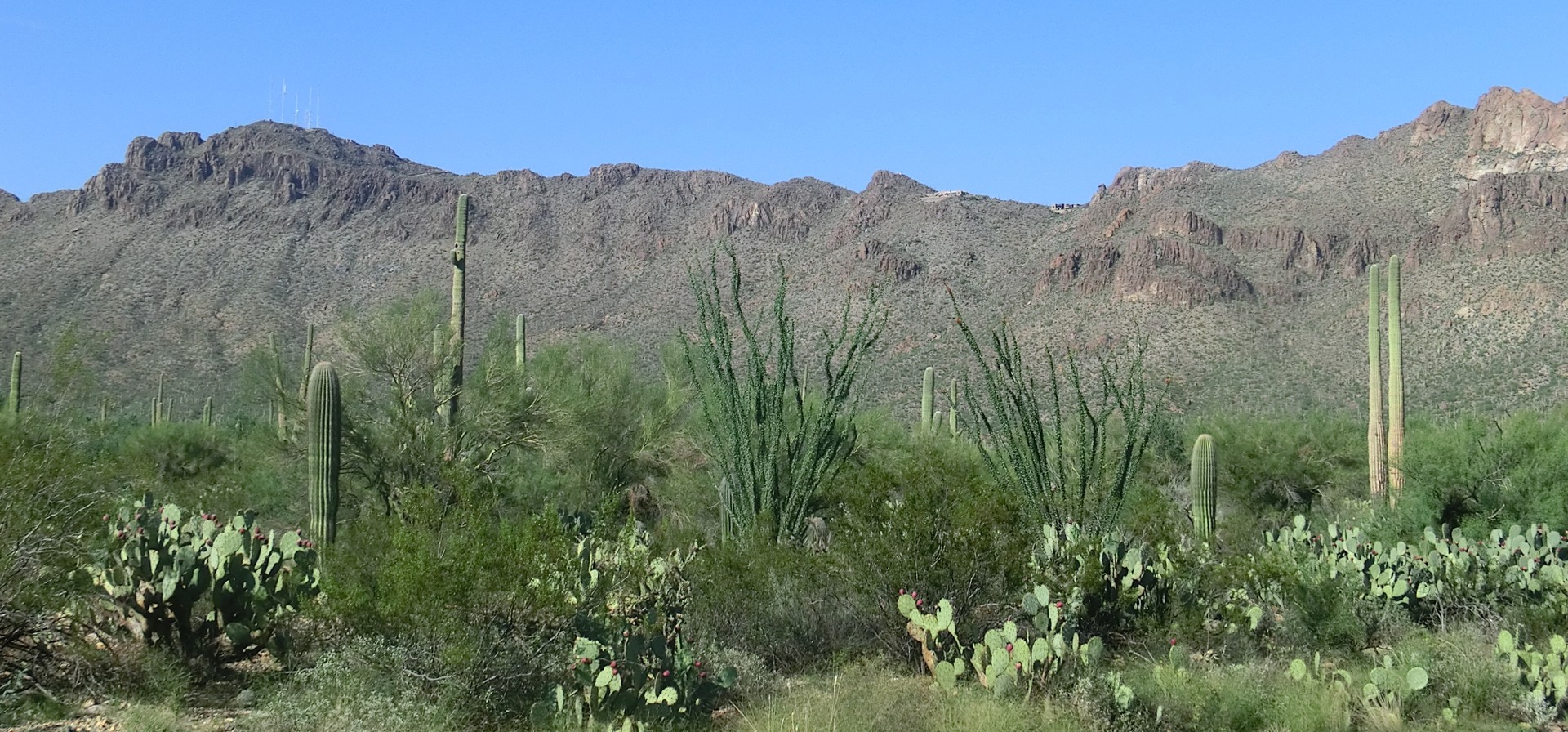 Tucson - Arizona - Doets Reizen