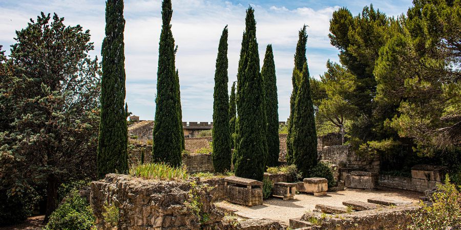 Provence - Avignon Afbeelding van Marcel S. via Pixabay | Frankrijk | Doets Reizen