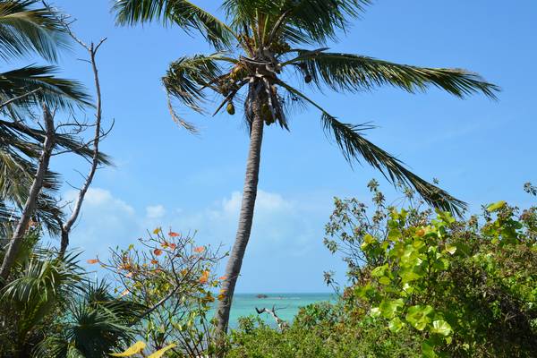 Bahia Honda State Park - The Keys - Florida - Doets Reizen