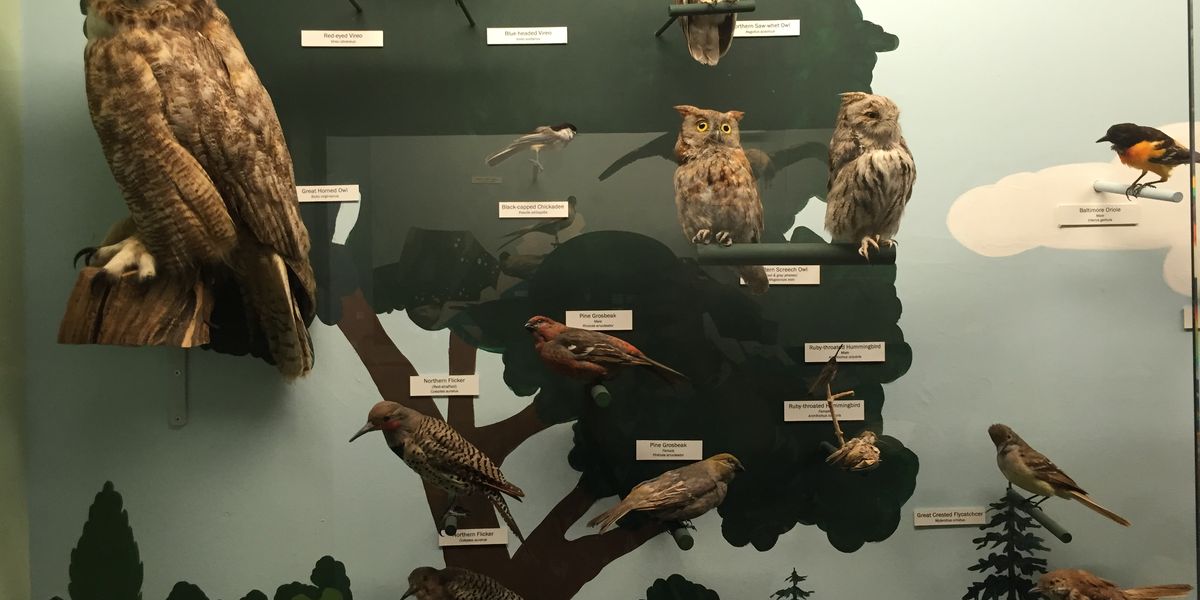 Cape Museum of Fine Arts - Cape Cod - Massachusetts - Doets Reizen