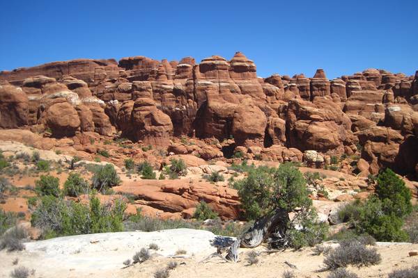 Arches National Park - Utah - Doets Reizen