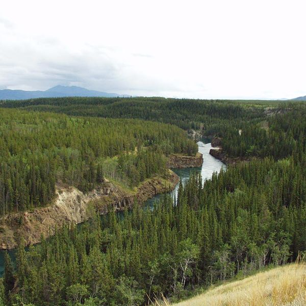 Kamperen Whitehorse - Yukon - Canada - Doets Reizen