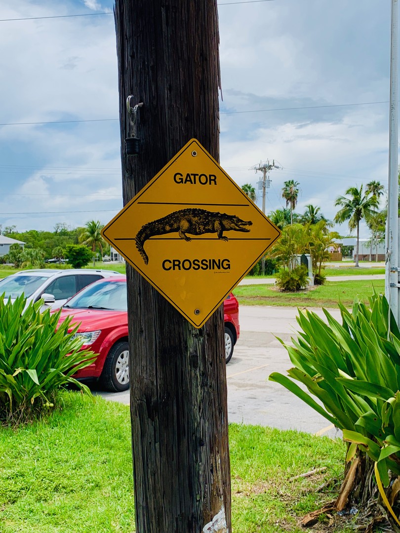 Airboat Tour Everglades National Park - Florida - Doets Reizen