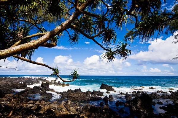 Hana - Maui - Hawaii - Doets Reizen