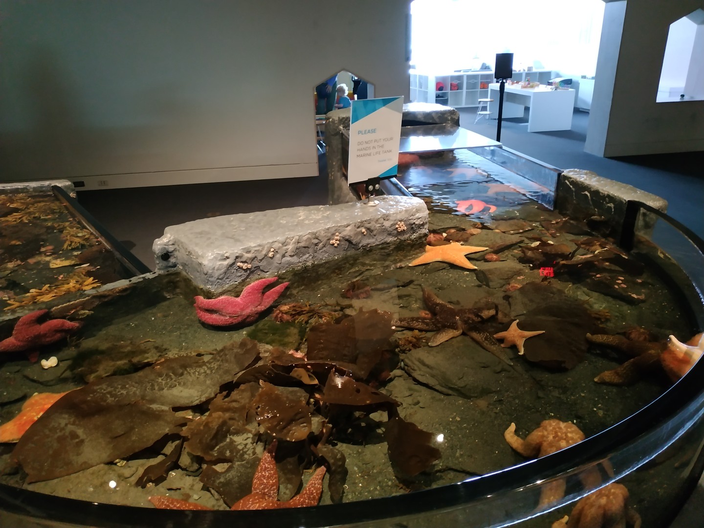 Anchorage Museum - Anchorage - Alaska - Doets Reizen