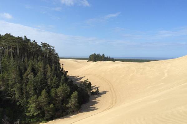 Sand Dunes - Florence - Oregon - Doets Reizen