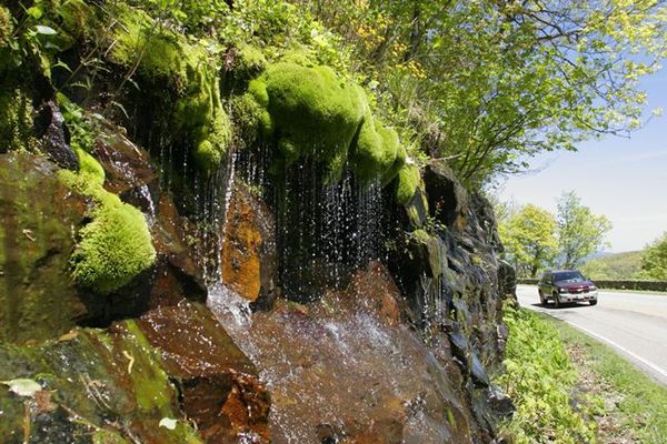 Shenandoah National Park - Virginia - Amerika - Doets Reizen
