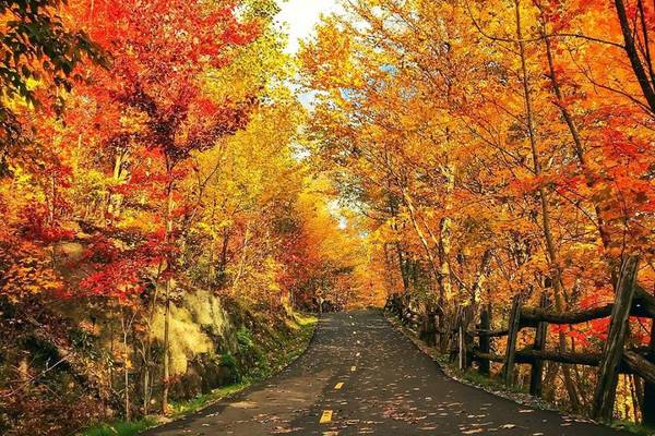 Indian Summer - Mont Tremblanc - Quebec - Canada - Doets Reizen