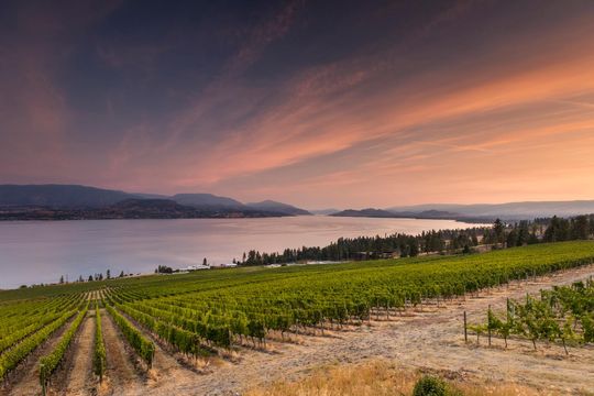 CedarCreek Estate Winery - Kelowna - Okanagan Valley - British Columbia - Canada - Doets Reizen
