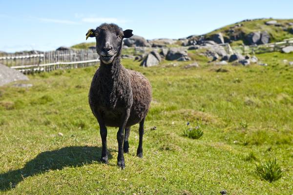 Fogo Island - Newfoundland & Labrador - Canada - Doets Reizen
