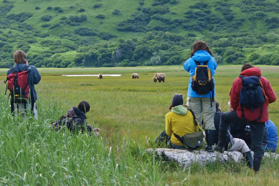 Bear & Wildlife Viewing - Homer - Alaska - Doets Reizen