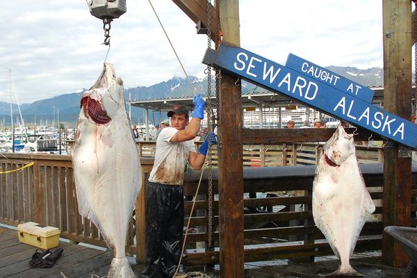 Seward - Alaska - Doets Reizen