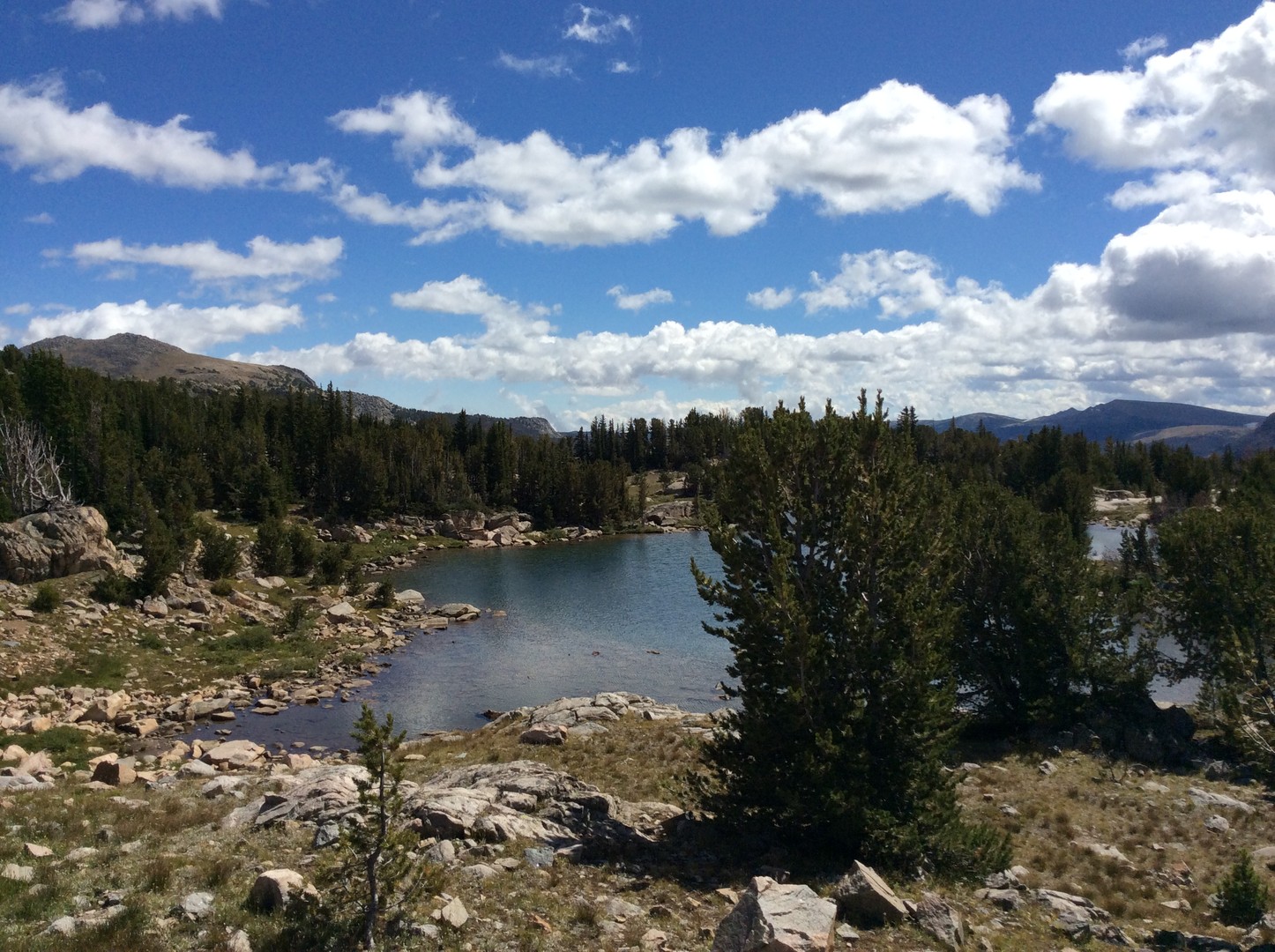 Beartooth Pass - Montana - Yellowstone - Wyoming - Amerika - Doets Reizen