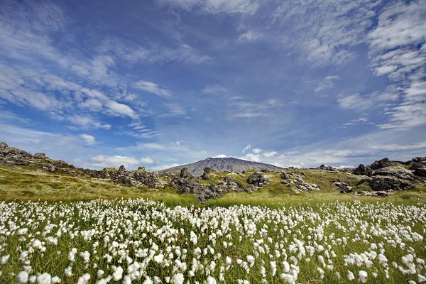Snæfellsjökull National Park - IJsland - Doets Reizen