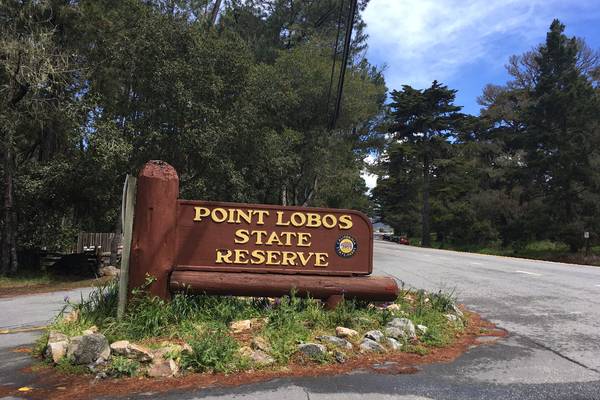 Point Lobos State Park - California - Amerika - Doets Reizen
