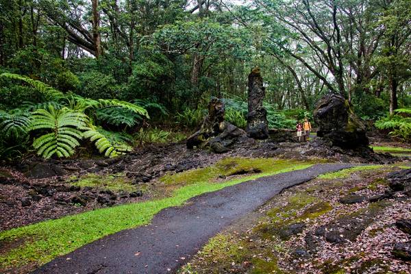 Lava Tree State Park Hawaii - Big Island - Hawaii - Doets Reizen