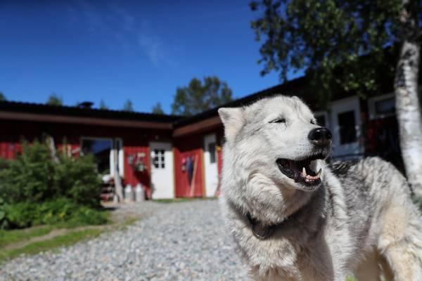 Lapland - Doets Reizen - Vakantie Finland - Credits VisitFinland