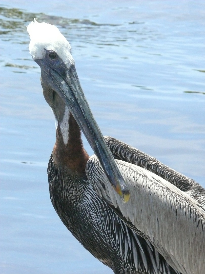 Everglades National Park - Florida - Doets Reizen