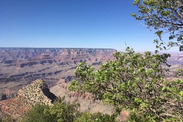 Grand Canyon - Arizona - Doets Reizen