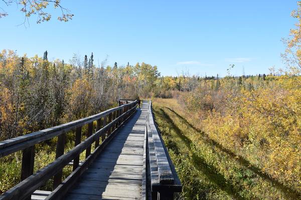 Kamperen Whitehorse - Yukon - Canada - Doets Reizen