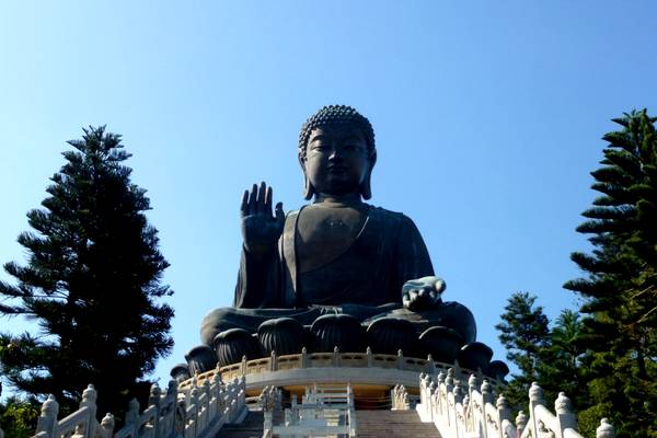 Lantau Island - Hong Kong - China - Doets