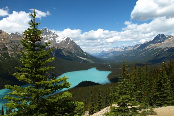 Peyto Lake - Icefields Parkway - Alberta - Canada - Doets Reizen