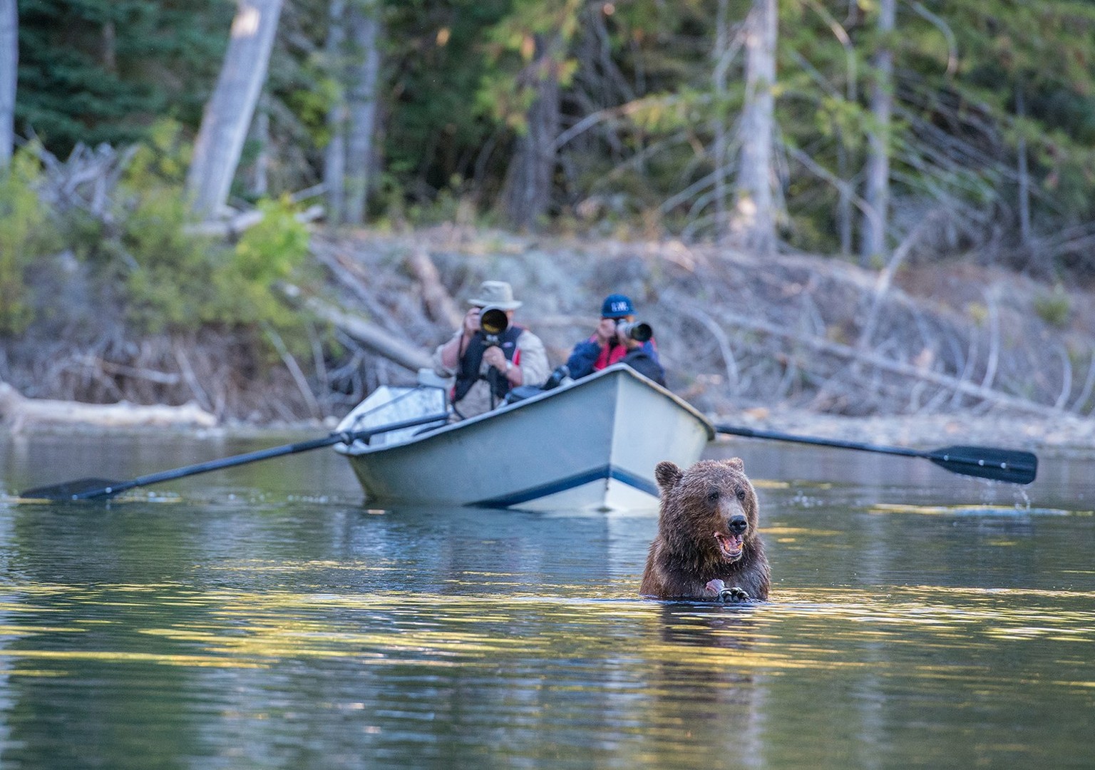 Tweedsmuir Park - British Columbia - Canada - Doets Reizen