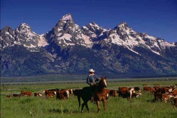 Spring Creek Ranch - Jackson - Wyoming - Doets Reizen