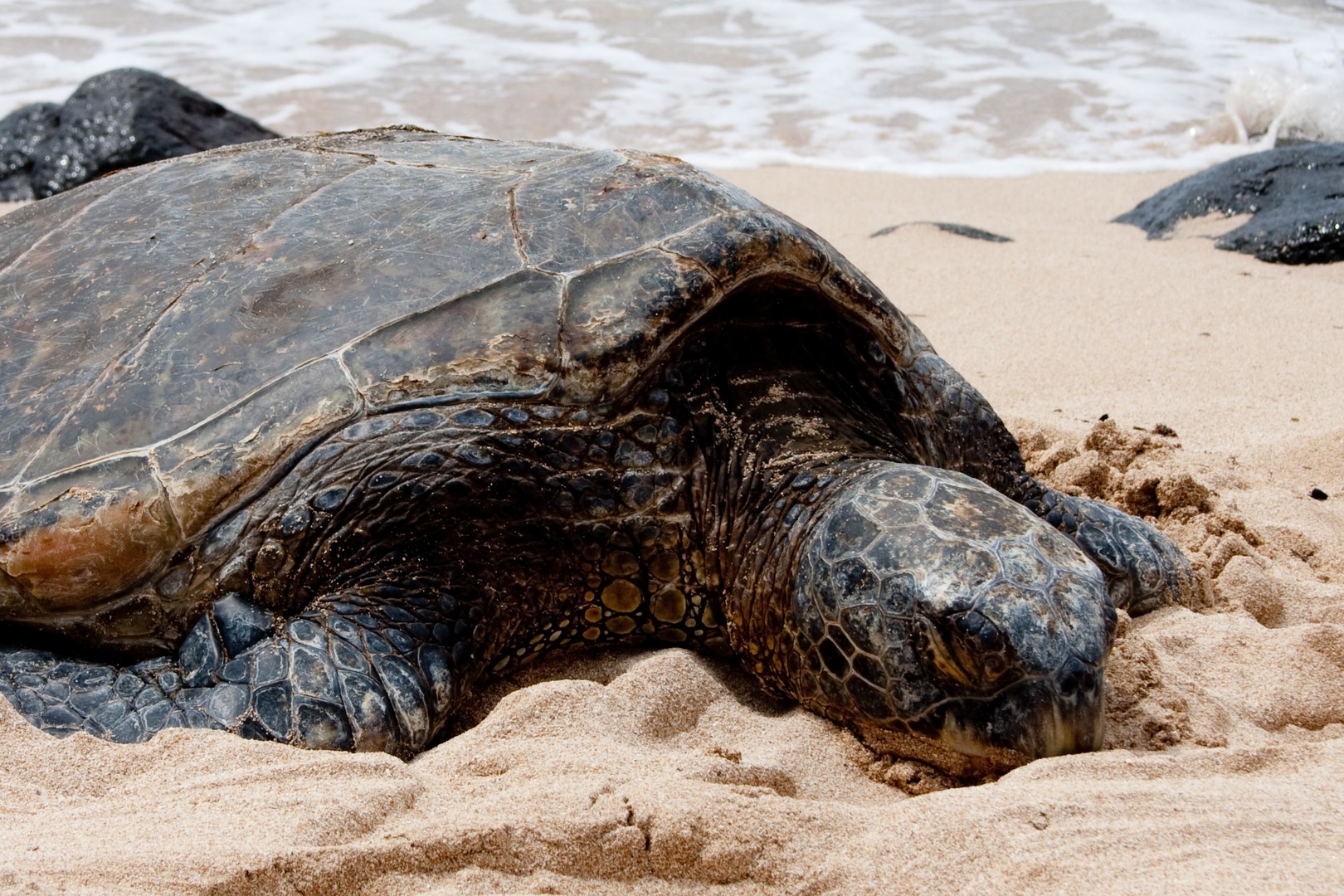 Big Island - Hawaii - Doets Reizen