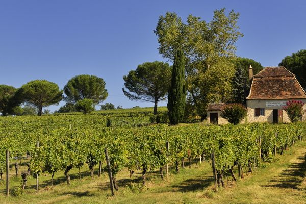 Dordogne wijnvelden credits Atout France | Doets Reizen | Frankrijk