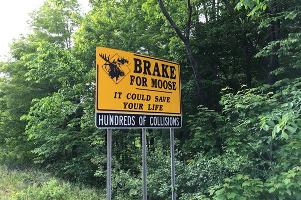 White Mountains - New Hampshire - Amerika - Doets Reizen