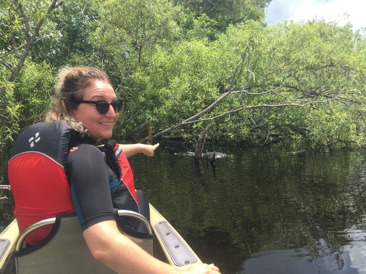 Mangrove Tunnel Tour - Everglades National Park - Florida - Doets Reizen