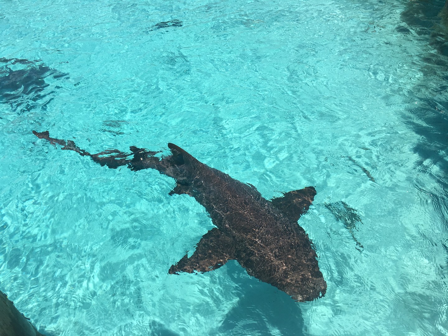 Great Exuma - Cruise Bahamas - Cruisevakantie - Doets Reizen