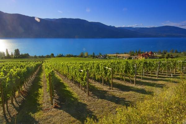Gray Monk Estate Winery - Kelowna - Okanagan Valley - British Columbia - Canada - Doets Reizen